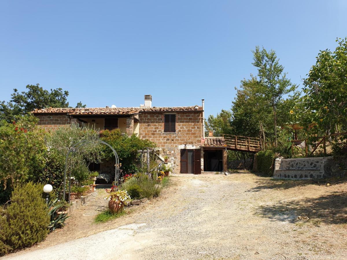 Le Querciolaie Monte Cavallo - Upper Apartment Saturnia Exterior foto